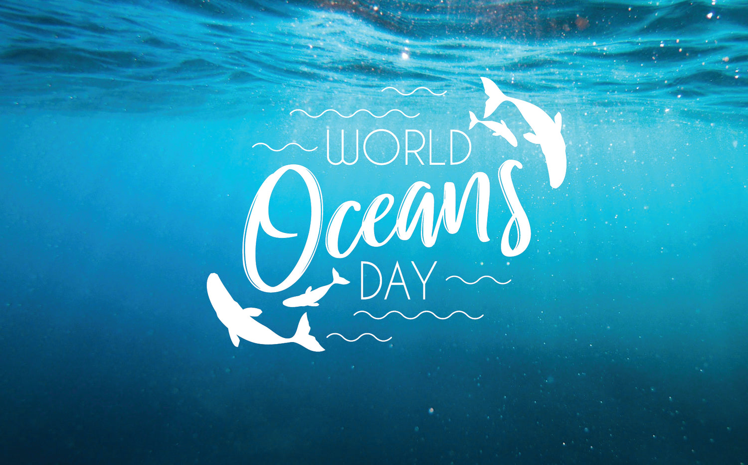 Happy World Ocean's Day!
